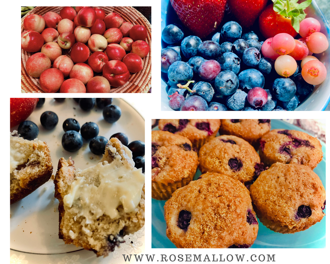 Blueberry-Nectarine Muffins