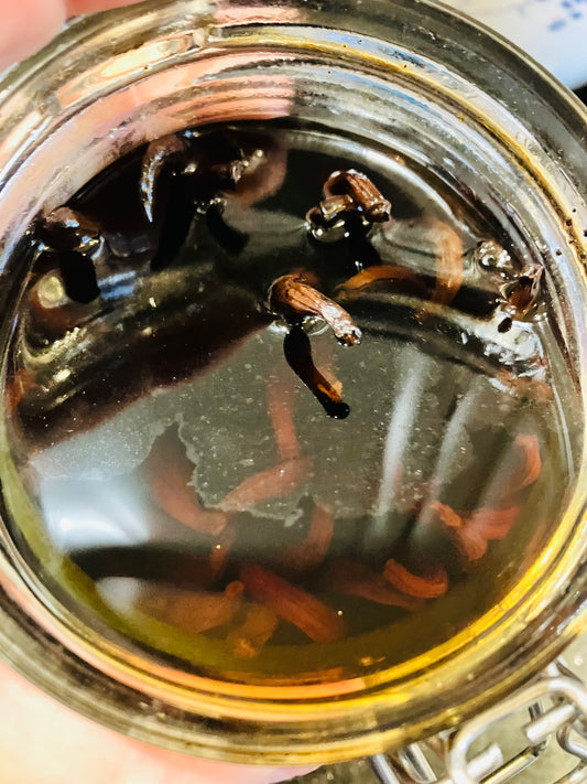 Vanilla Extract